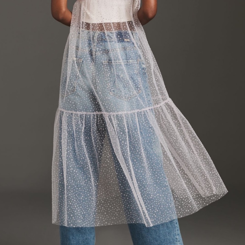 Sheer Dot Tulle Slip Dress